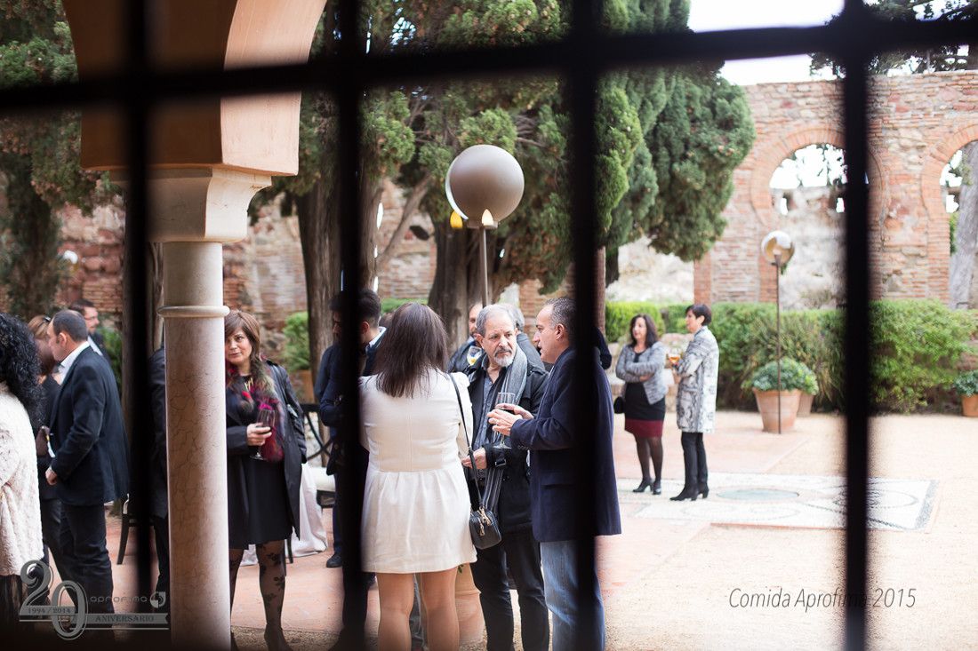 Comida Navidad Aprofima 0169