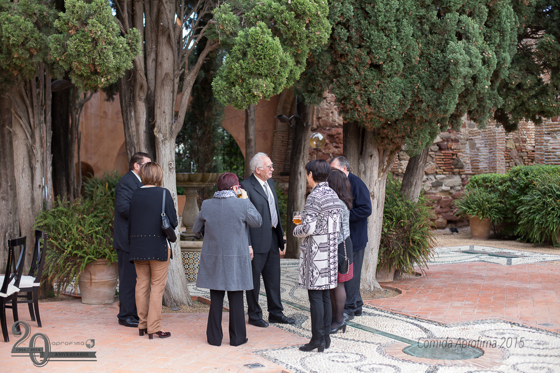 Comida Navidad Aprofima 0212