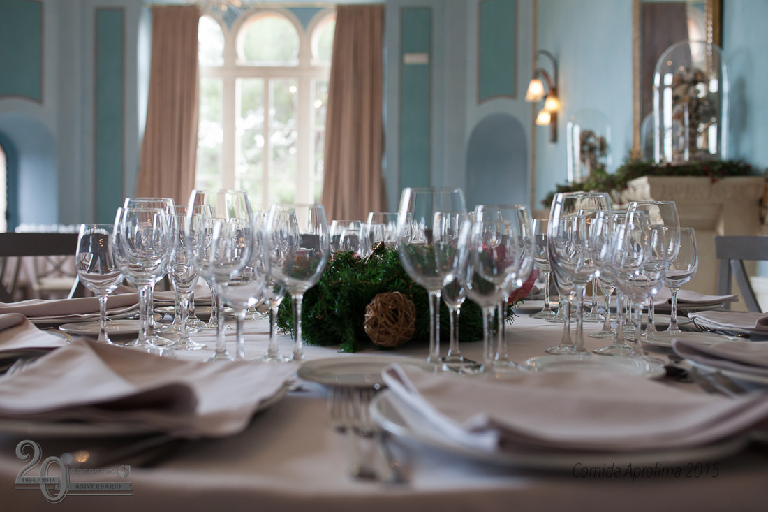 Comida Navidad Aprofima 0353