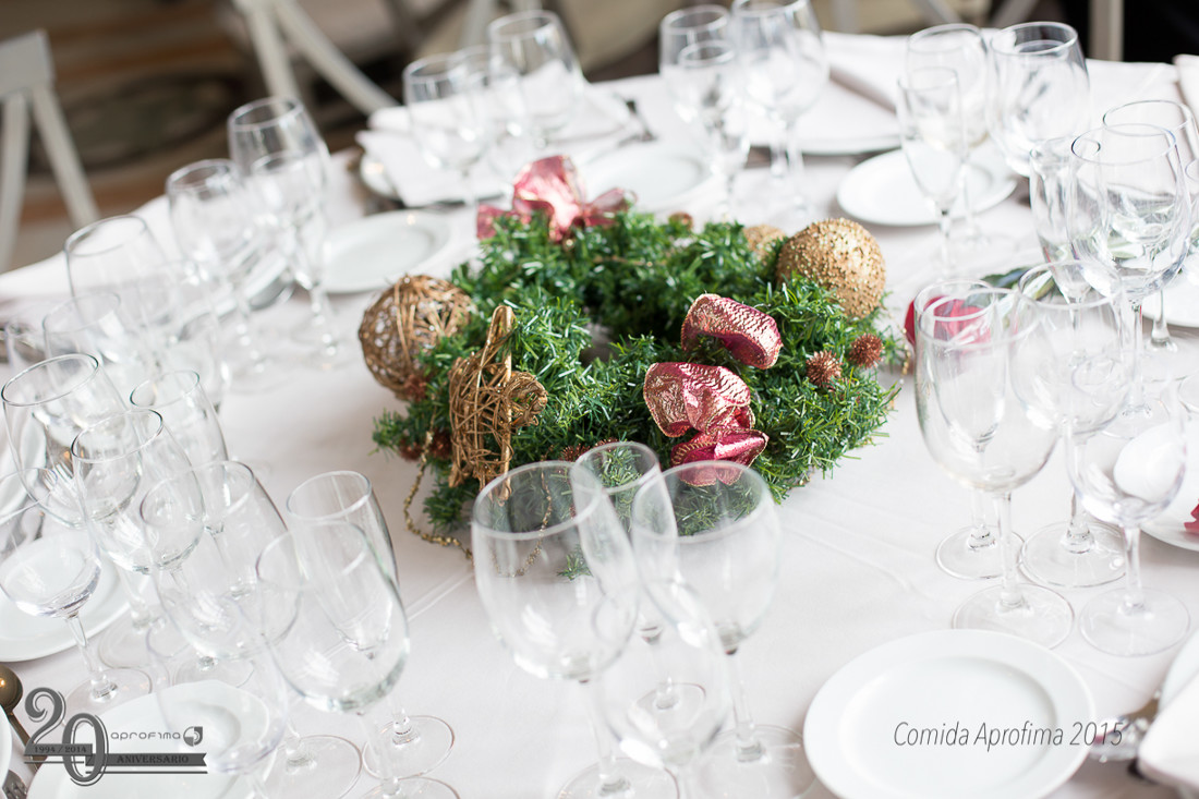 Comida Navidad Aprofima 0374