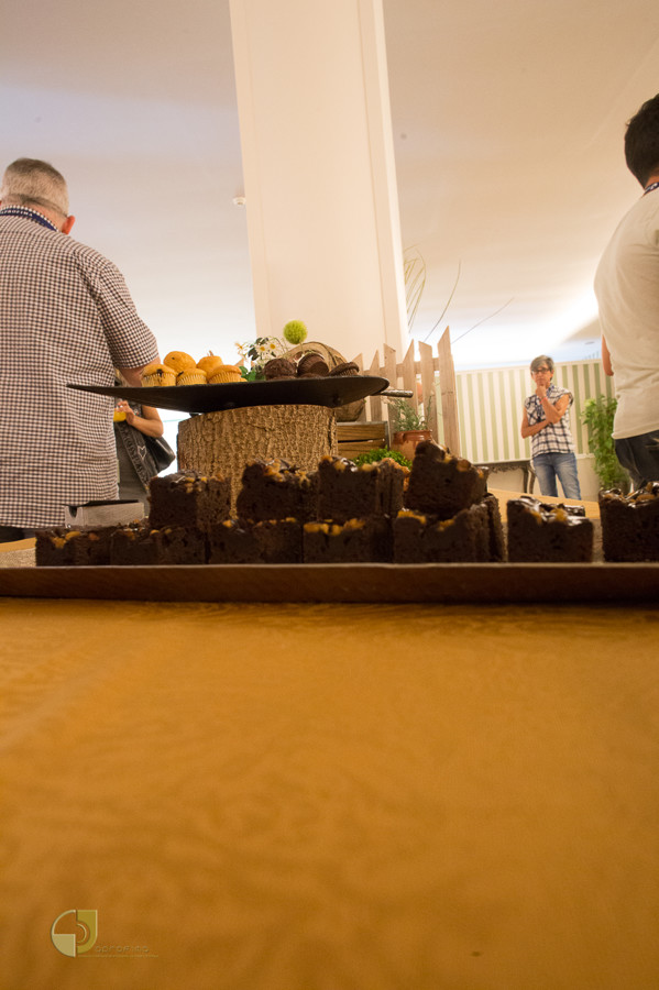 _MG_7659Taller Eugenio Hernández en APROFIMA22