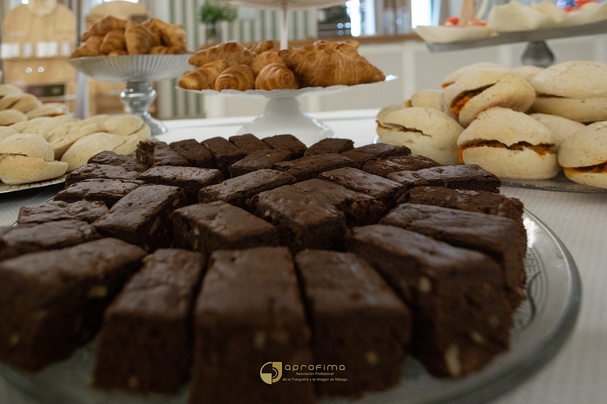 8CBF6490-C7B8-4620-9B17-B4AD2F40DE55