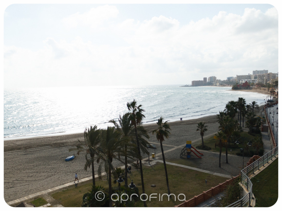 aprofimacomida2013_0019