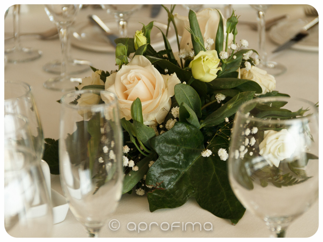 aprofimacomida2013_0024