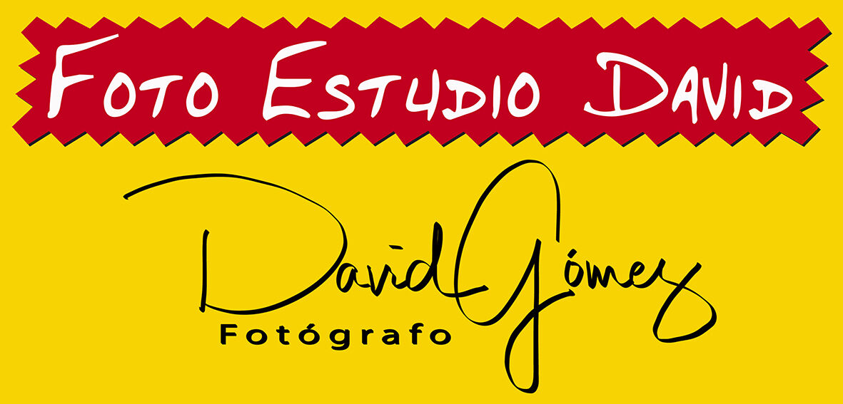 Asociación Profesional de Fotógrafos de Málaga - foto-estudio-david-salobrena.jpg